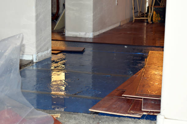 Professional Water Damage Restoration technician working in Avoca, NE